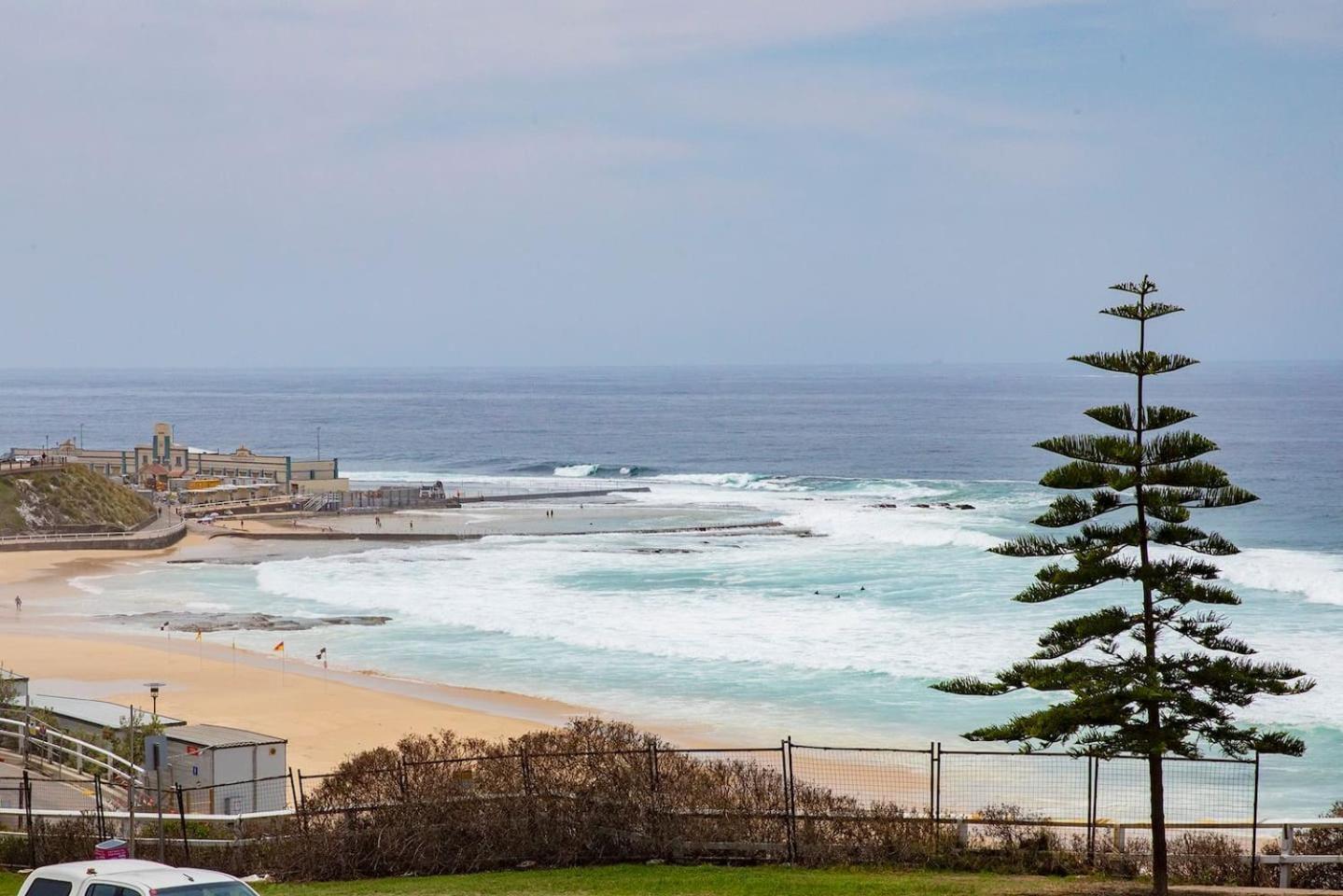 The Sandpiper - A Newy Beachfront Beauty Apartment