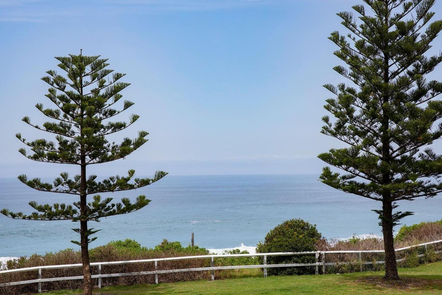 The Sandpiper - A Newy Beachfront Beauty Apartment *